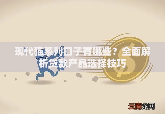 现代猫系列口子有哪些？全面解析贷款产品选择技巧