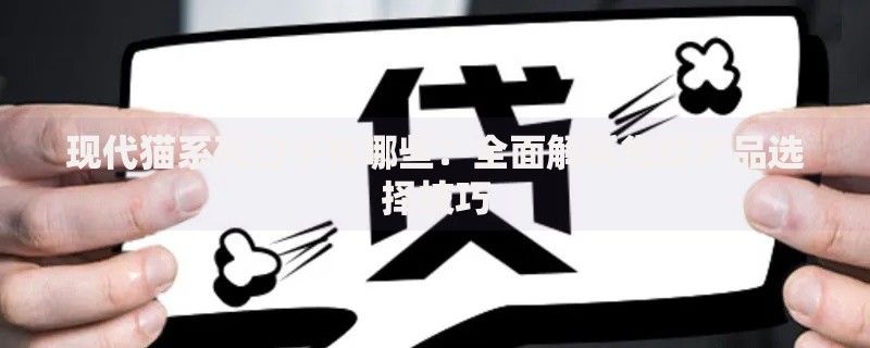 现代猫系列口子有哪些？全面解析贷款产品选择技巧