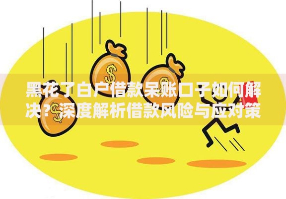 黑花了白户借款呆账口子如何解决？深度解析借款风险与应对策略
