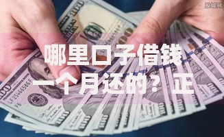哪里口子借钱一个月还的？正规渠道与避坑指南
