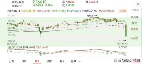 sh是什么股市？揭秘中国核心资本市场的投资机会