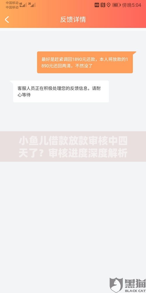 小鱼儿借款放款审核中四天了？审核进度深度解析