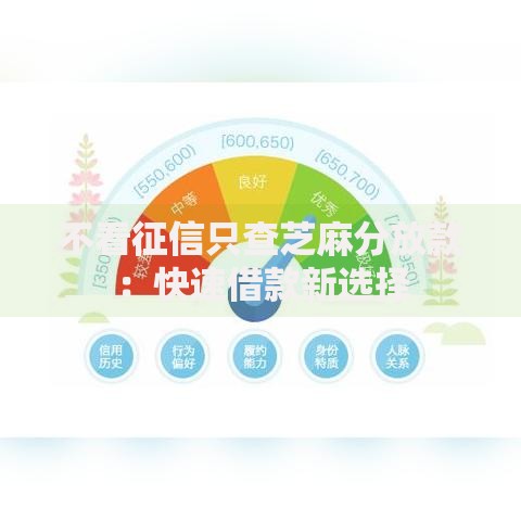 不看征信只查芝麻分放款:快速借款新选择 不看征信只查芝麻分放款:快速借款新选择