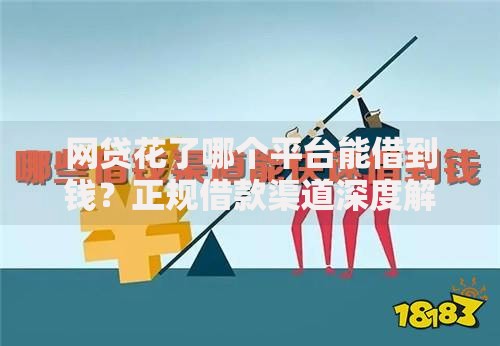 网贷花了哪个平台能借到钱？正规借款渠道深度解析