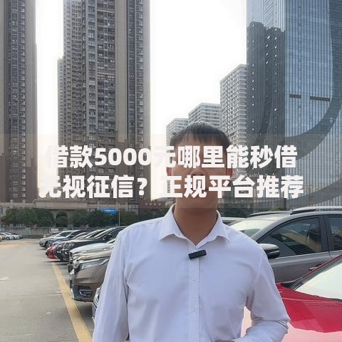借款5000元哪里能秒借无视征信？正规平台推荐及注意事项解析