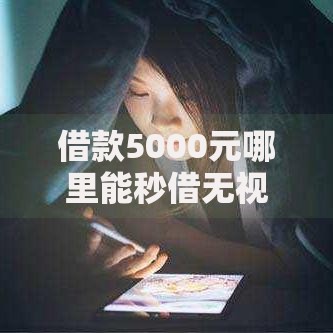 借款5000元哪里能秒借无视征信？正规平台推荐及注意事项解析