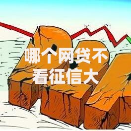 哪个网贷不看征信大数据？低门槛贷款渠道解析