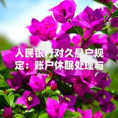 人民银行对久悬户规定：账户休眠处理与资金安全指南