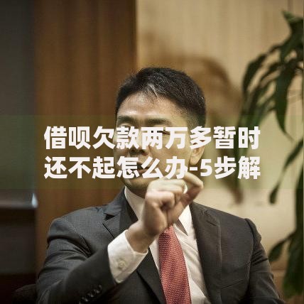 借呗欠款两万多暂时还不起怎么办-5步解决协商方案
