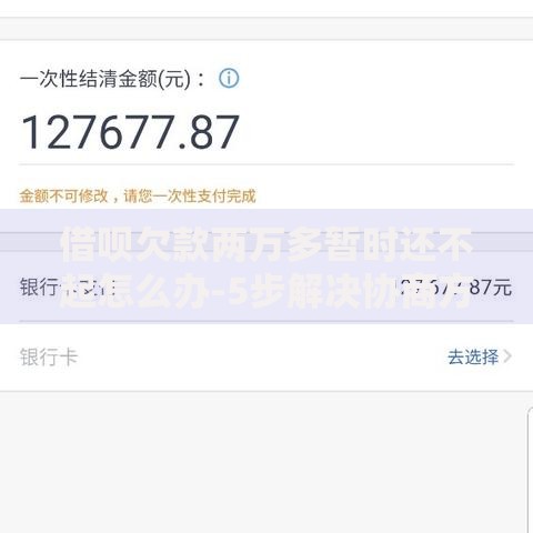 借呗欠款两万多暂时还不起怎么办-5步解决协商方案