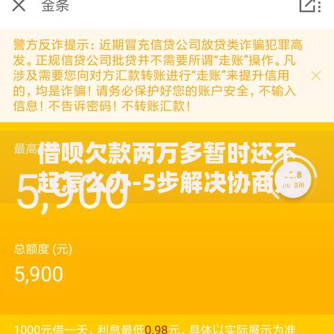 借呗欠款两万多暂时还不起怎么办-5步解决协商方案