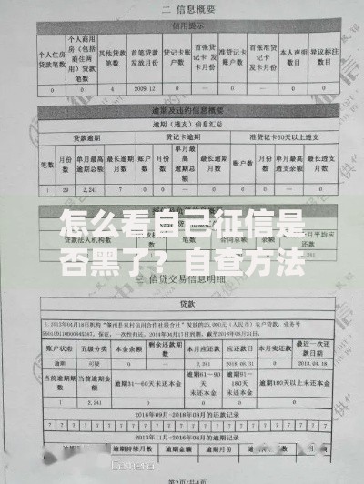 怎么看自己征信是否黑了？自查方法与影响解析