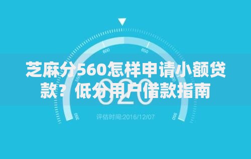 芝麻分560怎样申请小额贷款？低分用户借款指南