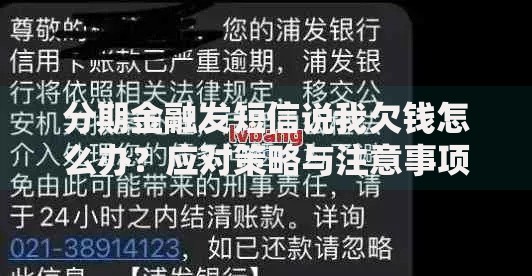 分期金融发短信说我欠钱怎么办？应对策略与注意事项