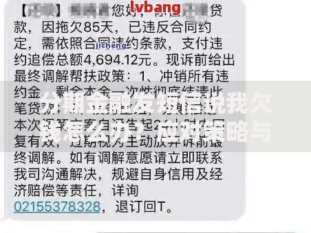 分期金融发短信说我欠钱怎么办？应对策略与注意事项