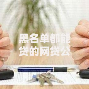 黑名单都能贷的网贷公司有哪些？深度解析低门槛贷款平台