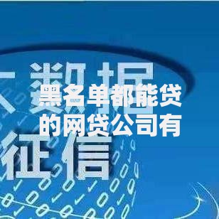 黑名单都能贷的网贷公司有哪些？深度解析低门槛贷款平台