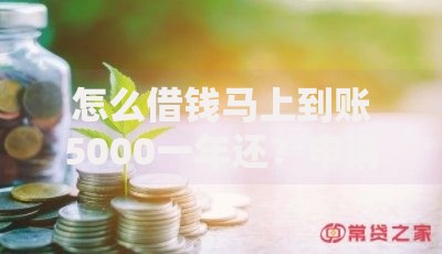 怎么借钱马上到账5000一年还？申请流程与注意事项解析