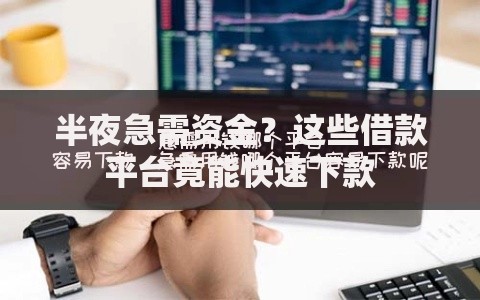 半夜急需资金？这些借款平台竟能快速下款