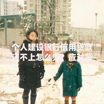个人建设银行信用贷款还不上怎么办？应对策略与解决方案
