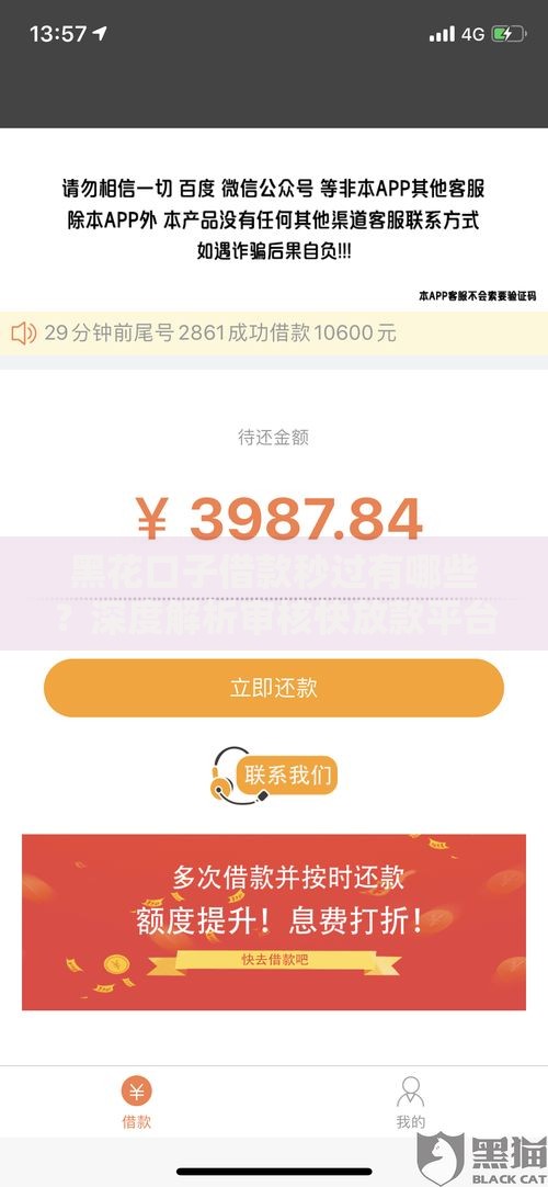 黑花口子借款秒过有哪些？深度解析审核快放款平台风险