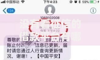没有看征信的借款平台有哪个？五类正规渠道深度解析