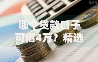 哪个贷款口子可借4万？精选正规低息渠道解析