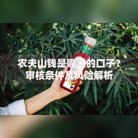 农夫山钱是哪里的口子？审核条件及风险解析