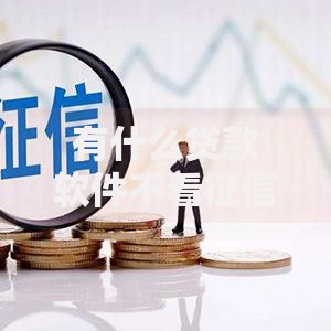 有什么贷款软件不看征信秒下款的真实平台解析