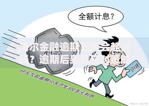 海尔金融逾期五天会起诉吗？逾期后果及应对策略解析