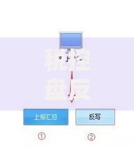 税控盘反写监控是什么意思？企业报税必懂的操作指南