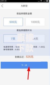 直接下款的口子有哪些？精选高效放款渠道解析