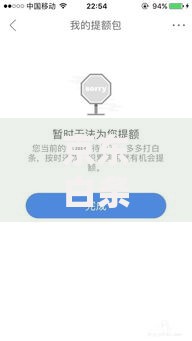 京东白条逾期多久会被追偿？逾期后果全解析