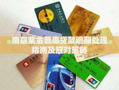 南京紫金普惠贷款逾期处理指南及应对策略