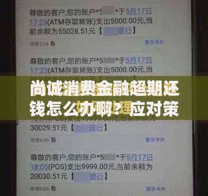 尚诚消费金融超期还钱怎么办啊？应对策略与解决方案