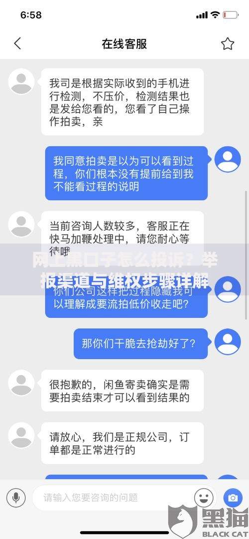 网上黑口子怎么投诉？举报渠道与维权步骤详解