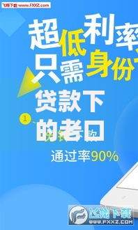 贷款下的老口子：如何选择安全可靠的借贷渠道？