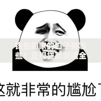钱包到家的口子有哪些？正规贷款渠道全解析