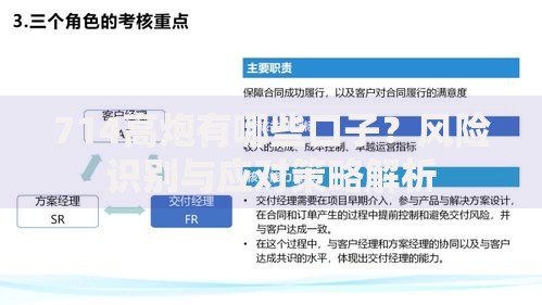 714高炮有哪些口子？风险识别与应对策略解析
