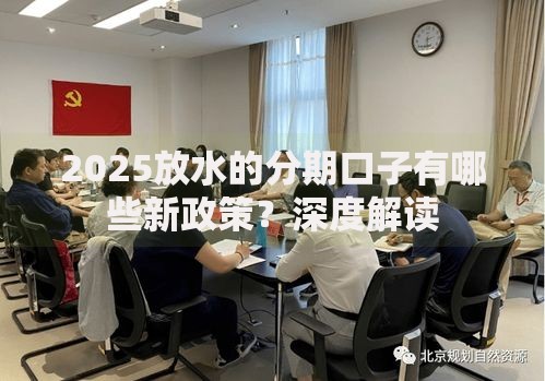 2025放水的分期口子有哪些新政策？深度解读