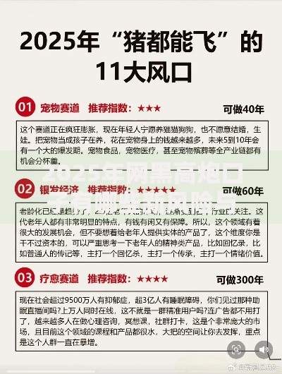 2025年网黑高炮口子有哪些新风险与应对策略？