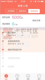贷款口子不打回访：秒批到账的隐秘渠道解析