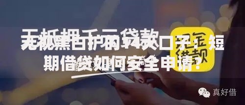 无视黑白护的14天口子：短期借贷如何安全申请？