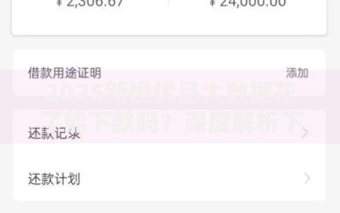 2025新橙优品大数据花了能下款吗？深度解析下款关键因素