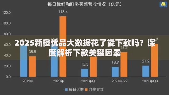 2025新橙优品大数据花了能下款吗？深度解析下款关键因素