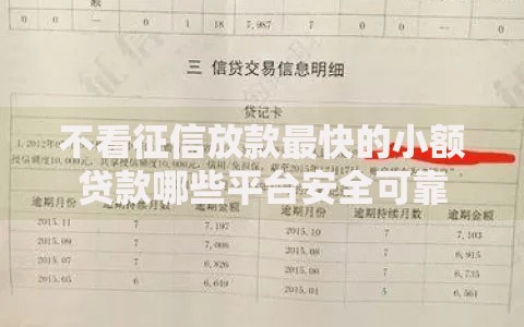 不看征信放款最快的小额贷款哪些平台安全可靠