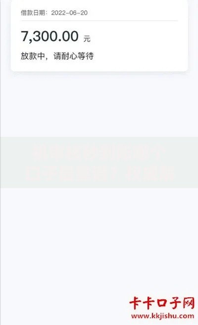 机审核秒到账哪个口子最靠谱？权威解析助你快速下款
