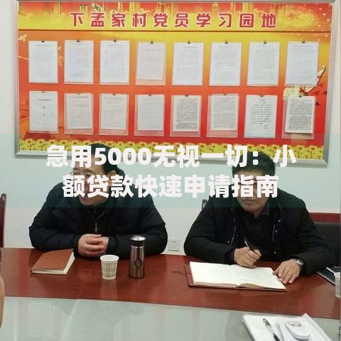 急用5000无视一切：小额贷款快速申请指南