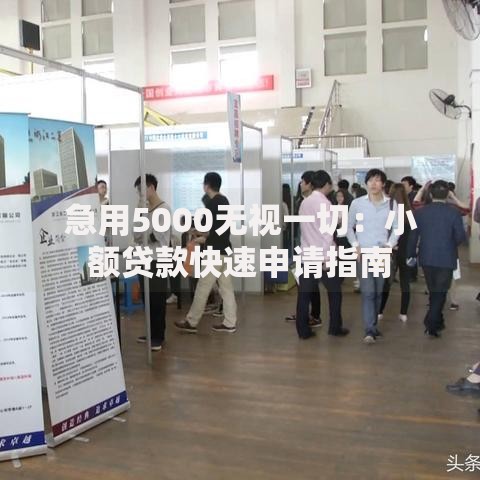 急用5000无视一切：小额贷款快速申请指南
