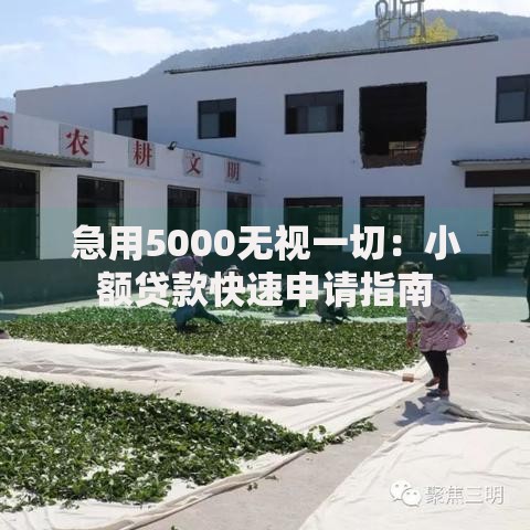 急用5000无视一切：小额贷款快速申请指南